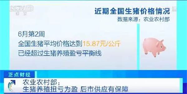 中国养猪网