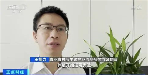 中国养猪网