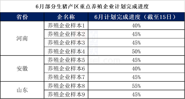 中国养猪网