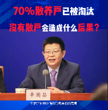 70%散养户已被淘汰!没有散户会造成什么后果？人人养猪时代一去不复返?