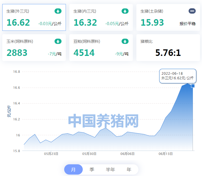 中国养猪网