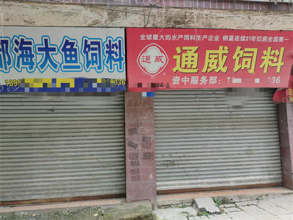 中国养猪网