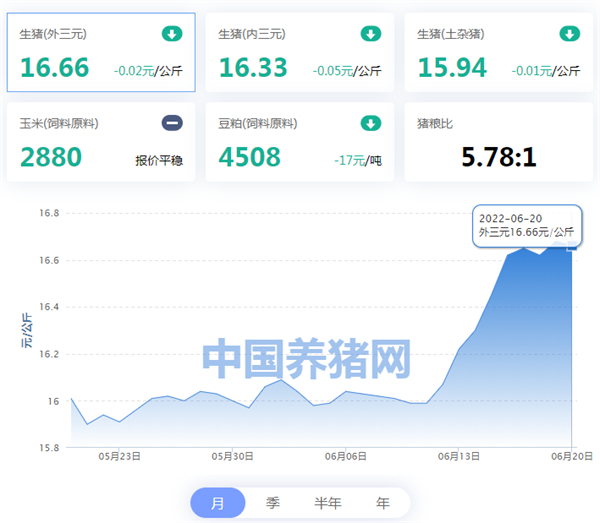 中国养猪网