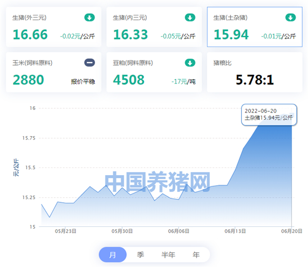 中国养猪网
