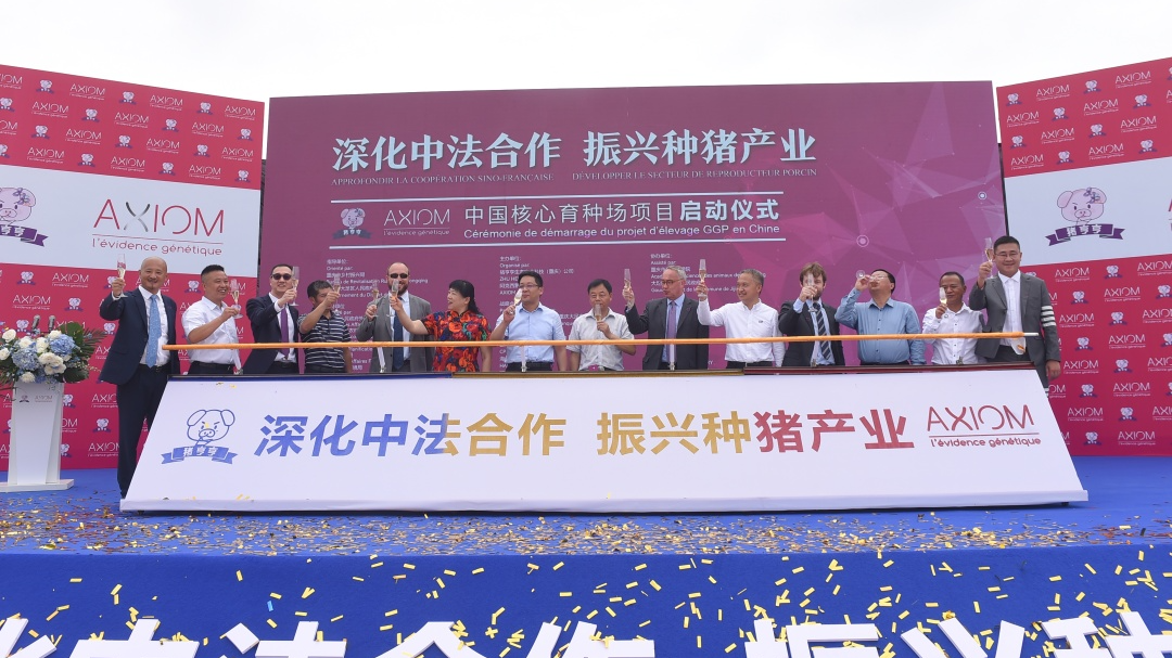 又一大型国际种猪核心育种场落地中国，这次有何不同？