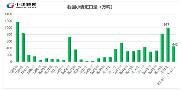中国养猪网
