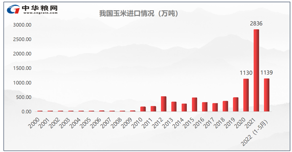 中国养猪网