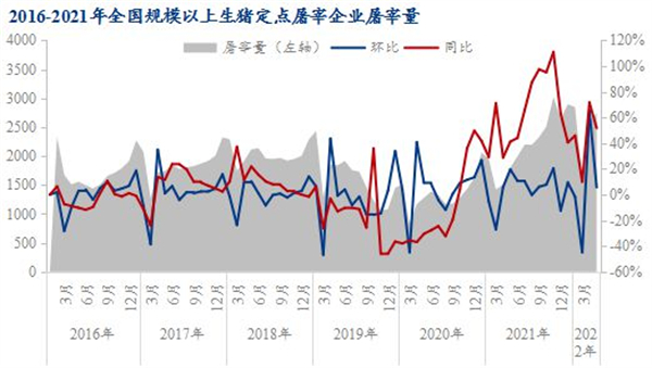 中国养猪网