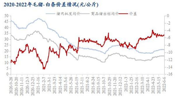 中国养猪网
