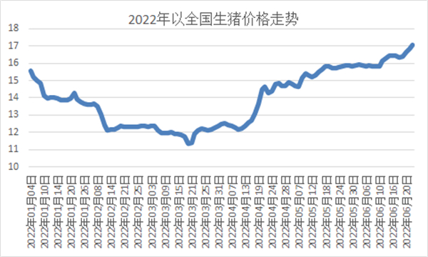 中国养猪网