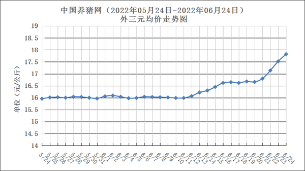 中国养猪网