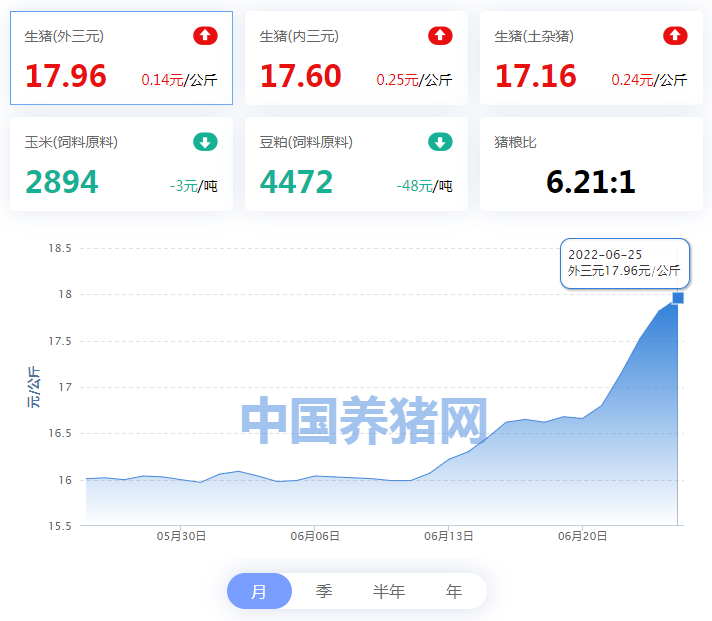 中国养猪网