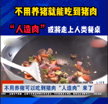 不用养猪就能吃到猪肉，“人造肉”或将普及，走上人类餐桌