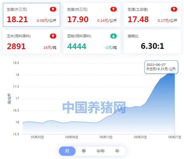中国养猪网