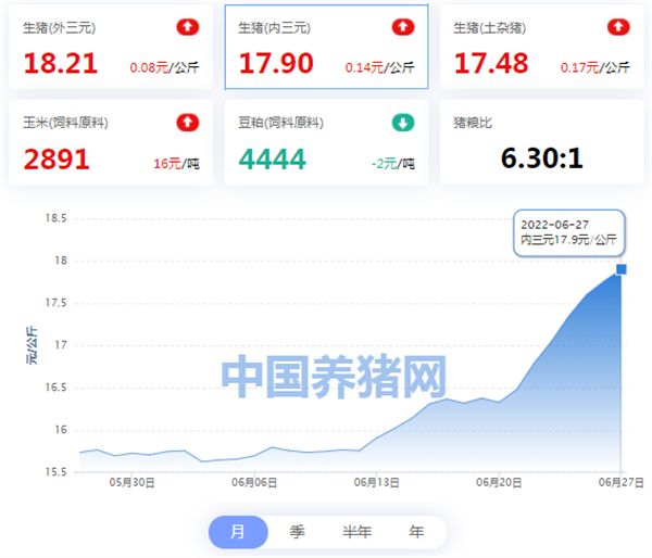 中国养猪网