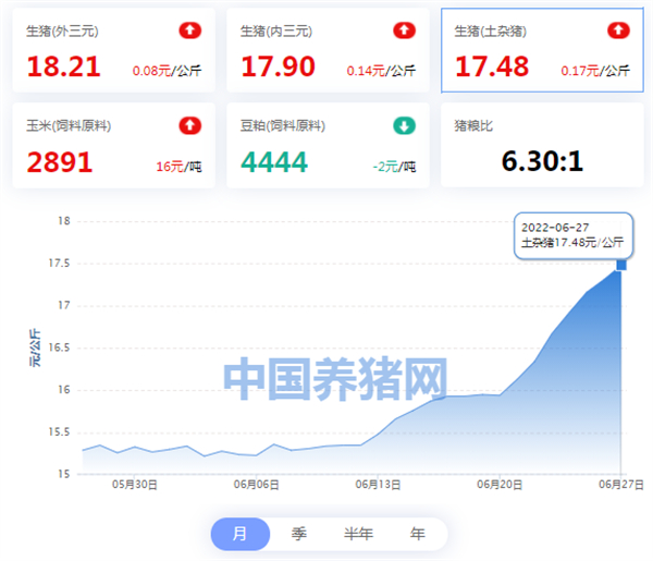 中国养猪网