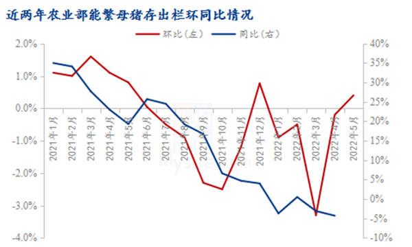 中国养猪网