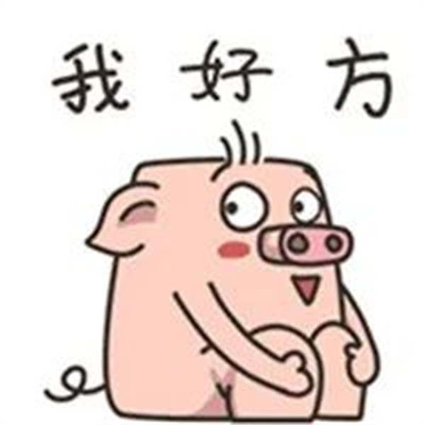 中国养猪网