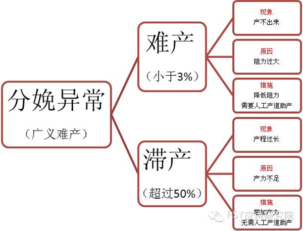 中国养猪网