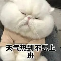 中国养猪网