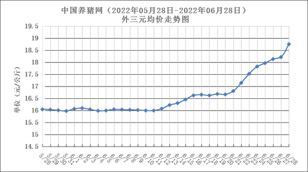 中国养猪网
