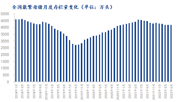 中国养猪网