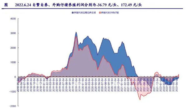 中国养猪网
