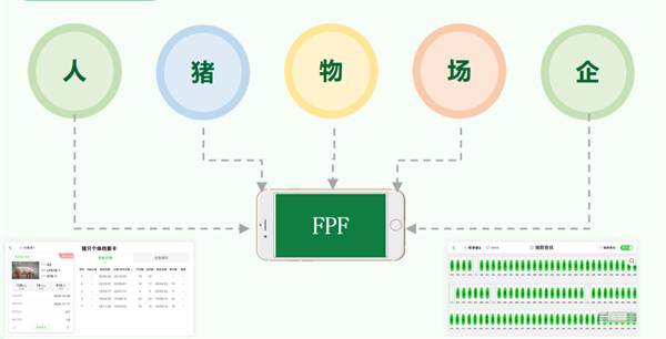 中国养猪网