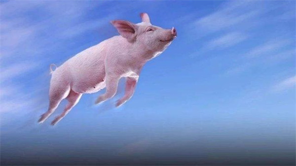 猪肉进口量猛降65.1%！牧原表示生猪销售未布局海外业务！