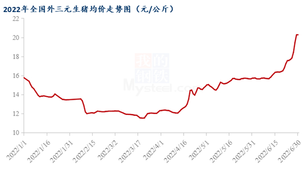中国养猪网