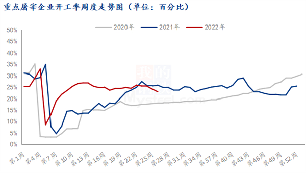 中国养猪网