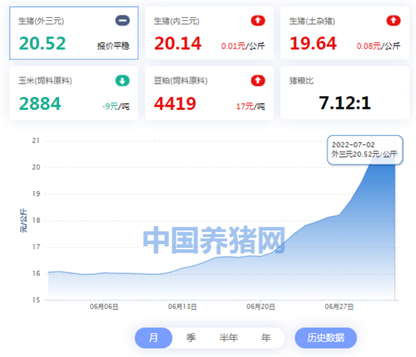 中国养猪网