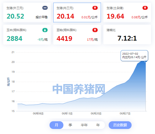 中国养猪网