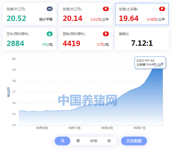 中国养猪网