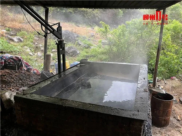 涉案金额最高达5100万！跨省偷运生猪、无证生产兽药、饲料，农业农村部公布10大典型案例
