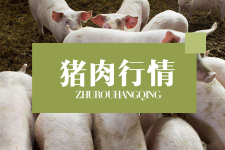 猪价“自由落体”，市场究竟发生了什么？何时才能触底反弹？
