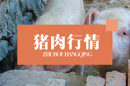 涨！涨！涨！猪价“势如破竹”，全面上涨！