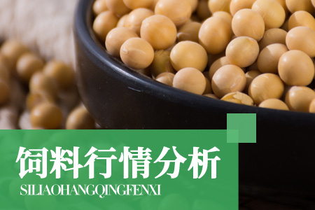 一季度中国进口1858万吨大豆，创下四年同期最低进口量