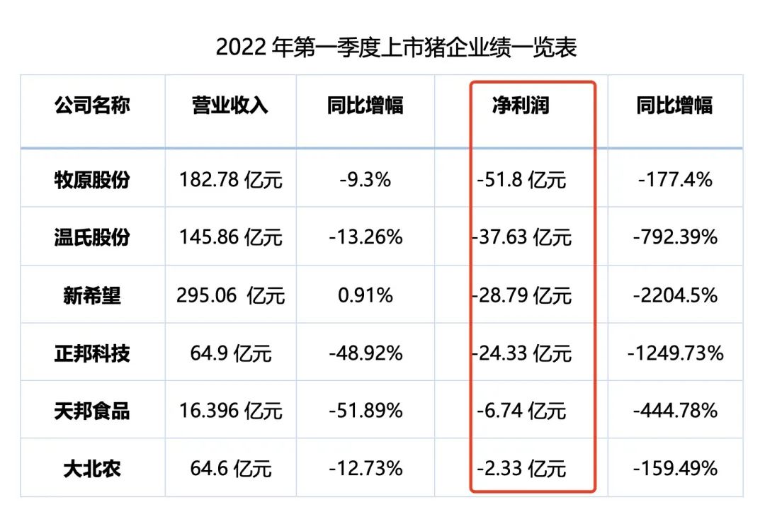 中国养猪网