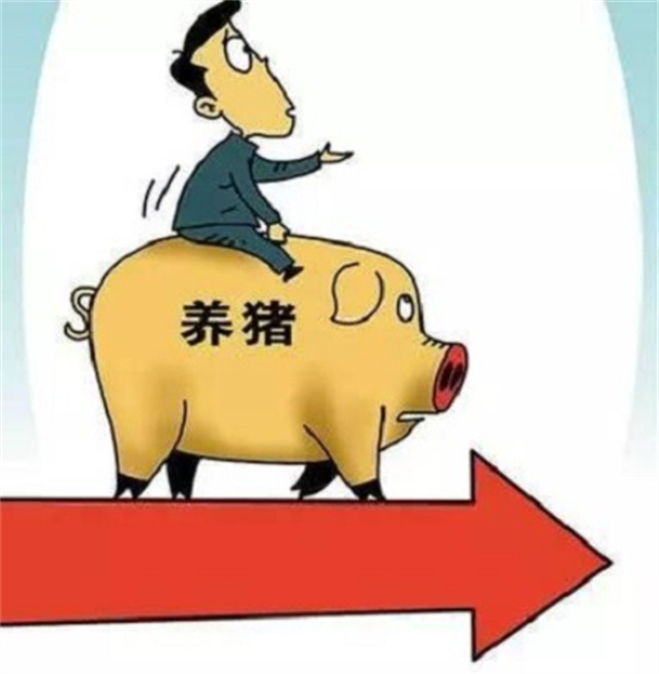 人民网：猪肉价格不具备大幅上涨的基础条件