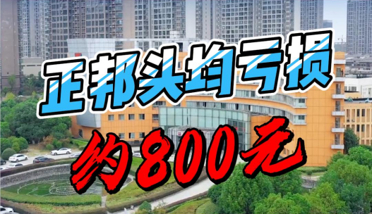 正邦半年亏损38-46亿元！头均亏损约800元！