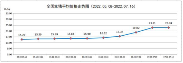 中国养猪网