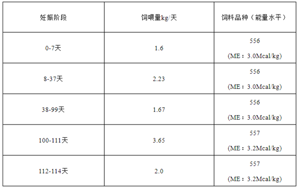 中国养猪网