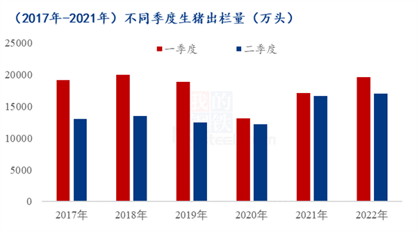 中国养猪网