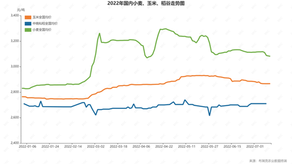 中国养猪网