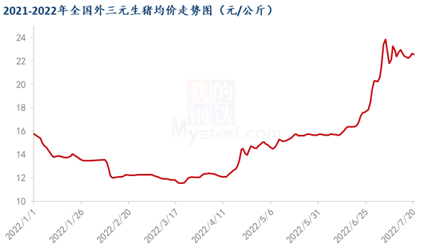 中国养猪网