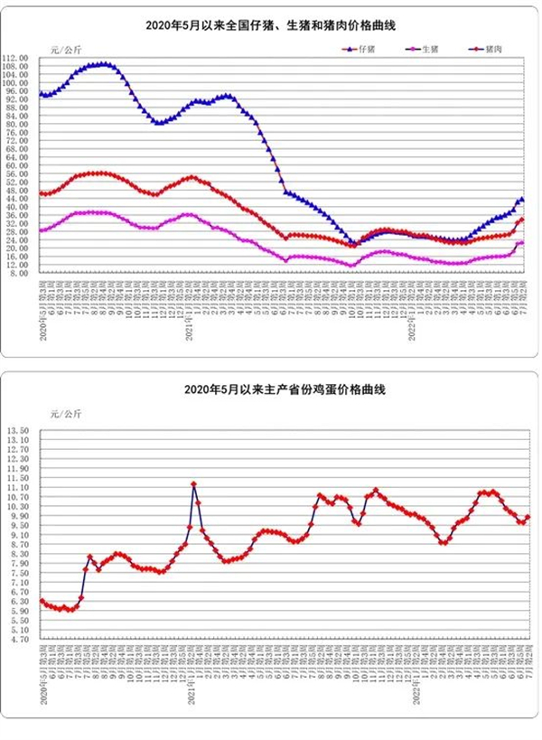 中国养猪网
