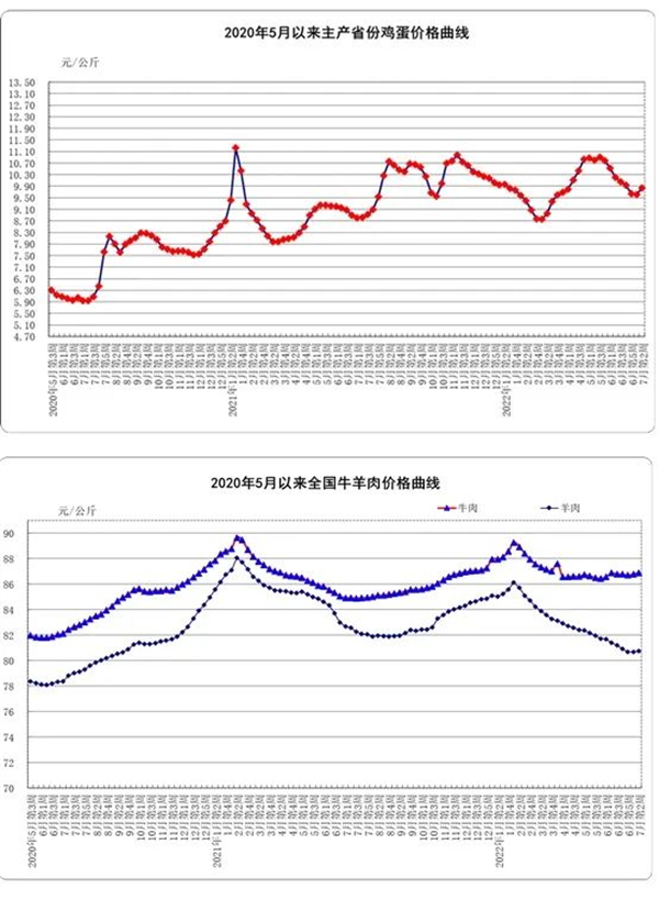 中国养猪网