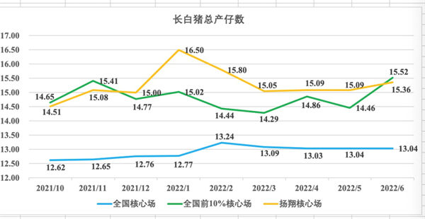 中国养猪网