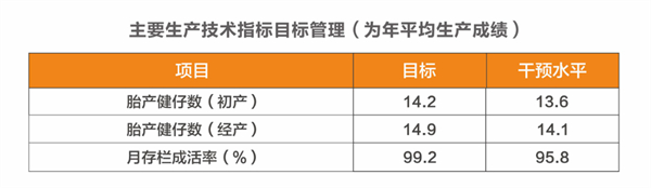 中国养猪网